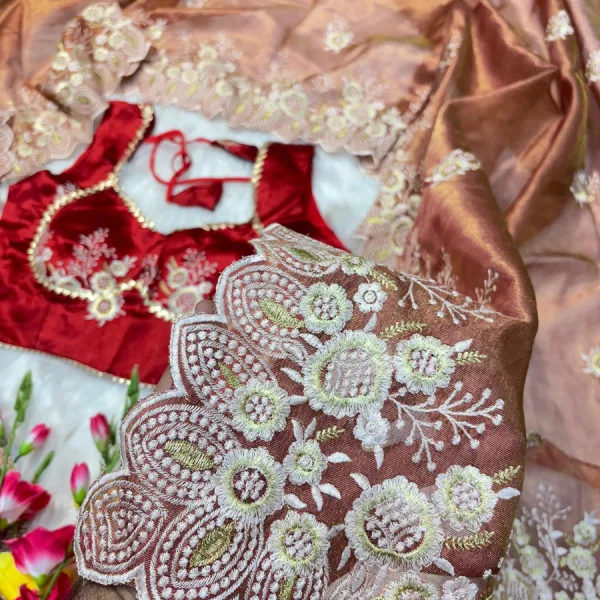 Elegant Peach Organza Silk Saree for Women