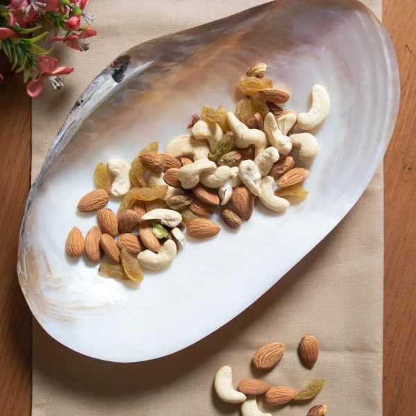 Handcrafted Mother of Pearl Sea Shell Decorative Serving Tray Set of 2