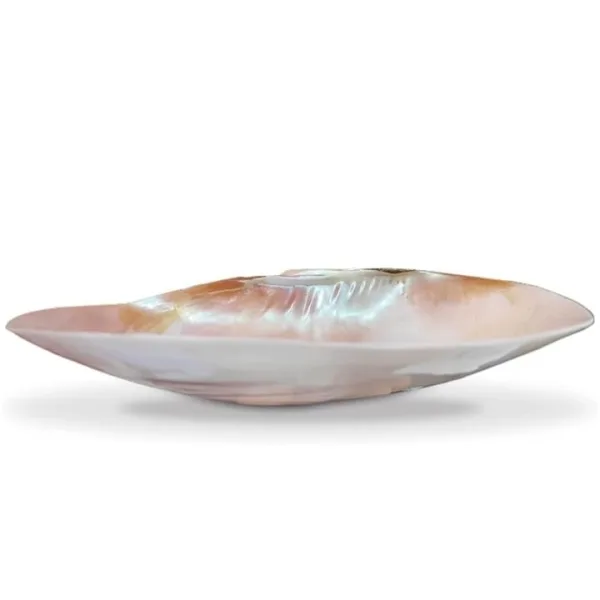 Handcrafted Mother of Pearl Sea Shell Decorative Serving Tray Set of 2