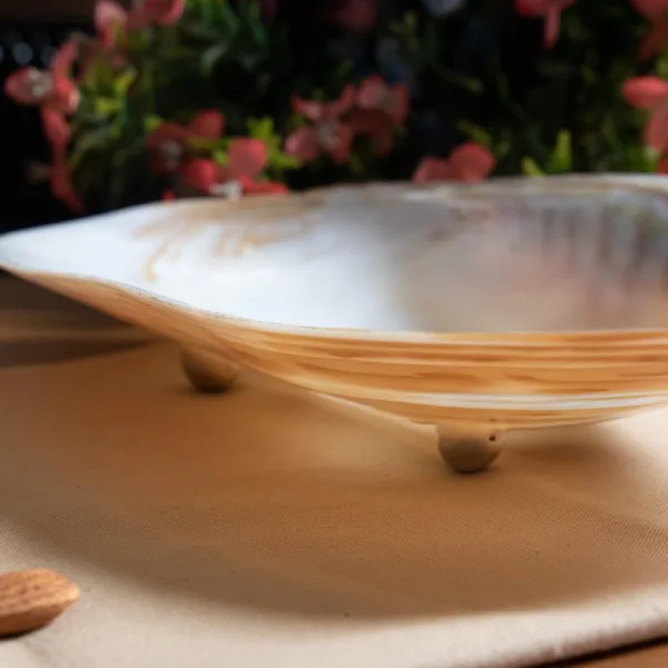 Handcrafted Mother of Pearl Sea Shell Decorative Serving Tray Set of 2