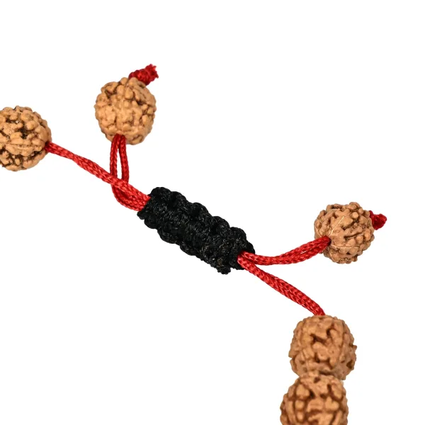 Authentic 5 Mukhi Rudraksha Bracelet  Natural, Energized & Healing