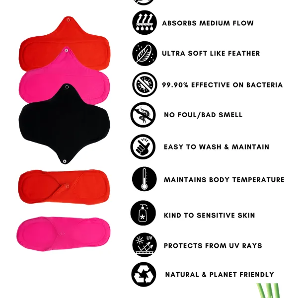 Bamboo Fabric Leak Proof Period Panty Pack of 1 for Women
