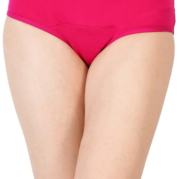 Bamboo Fabric Leak Proof Period Panty Pack of 1 for Women