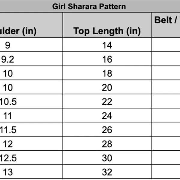 Blue Jaipur Block Print Cotton Party Wear Suit Set for Girls