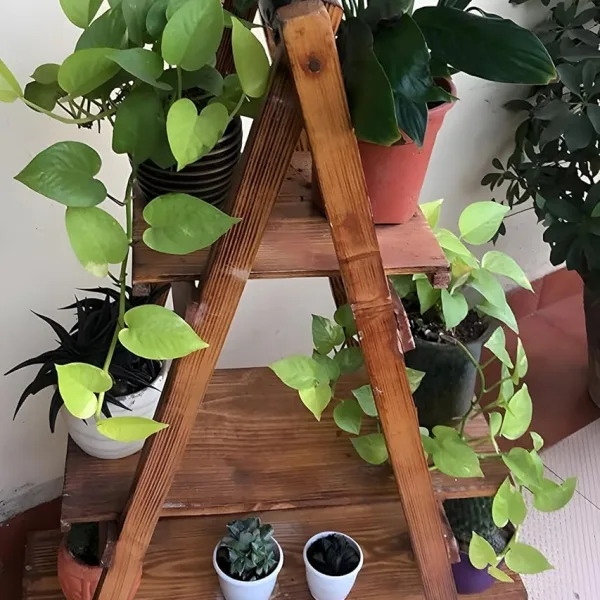 WoodRon Brand - Multipurpose 3-Tier Foldable Classy Pinewood 3-feet Ladder Shelf | Plant Stand | Indoor Flower Pot Stand | Bookcase Storage Rack | Display Shelf For Home Decor, Tiered Shelf