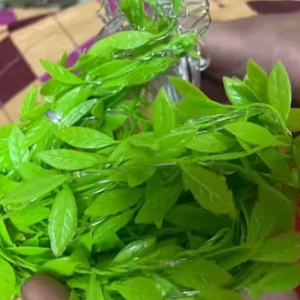 Artificial Leaf Curtain String Lights With 200 Warm White LEDs