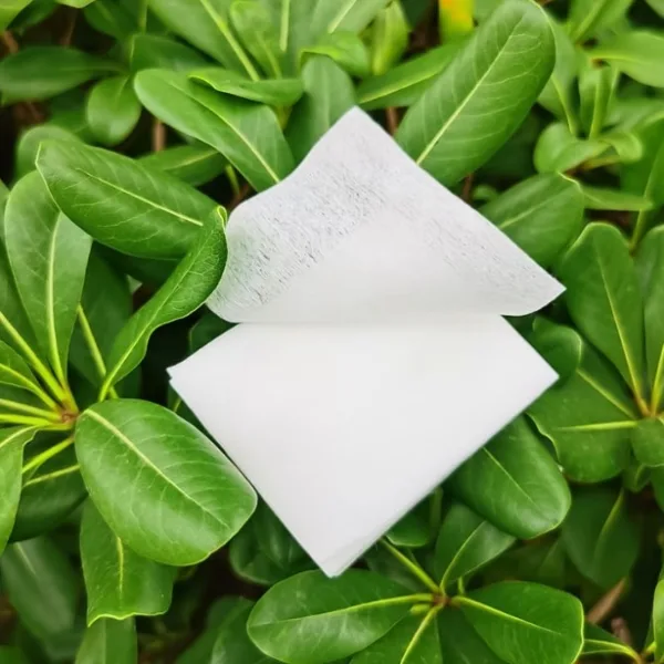 Cotton Makeup Remover Pads for Women Girls (Pack of 40)